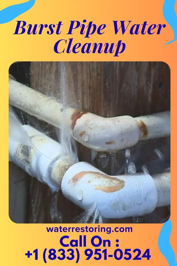 Burst Pipe Water Cleanup in Whitesboro, NY