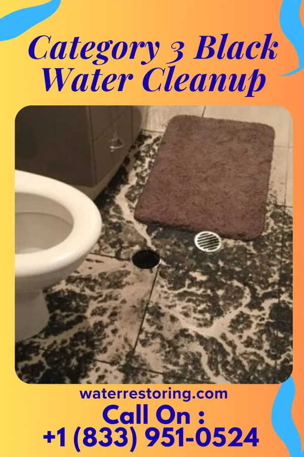 Category 3 Black Water Cleanup in Whitesboro, NY