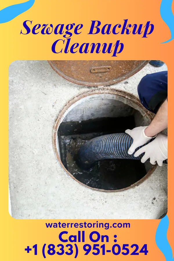 Sewage Backup Cleanup in Whitesboro, NY