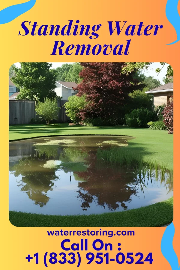 Standing Water Removal in Whitesboro, NY